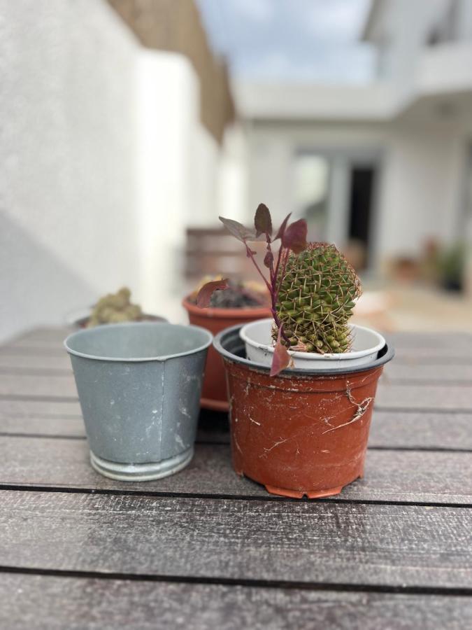 In Daire Cascais Dış mekan fotoğraf