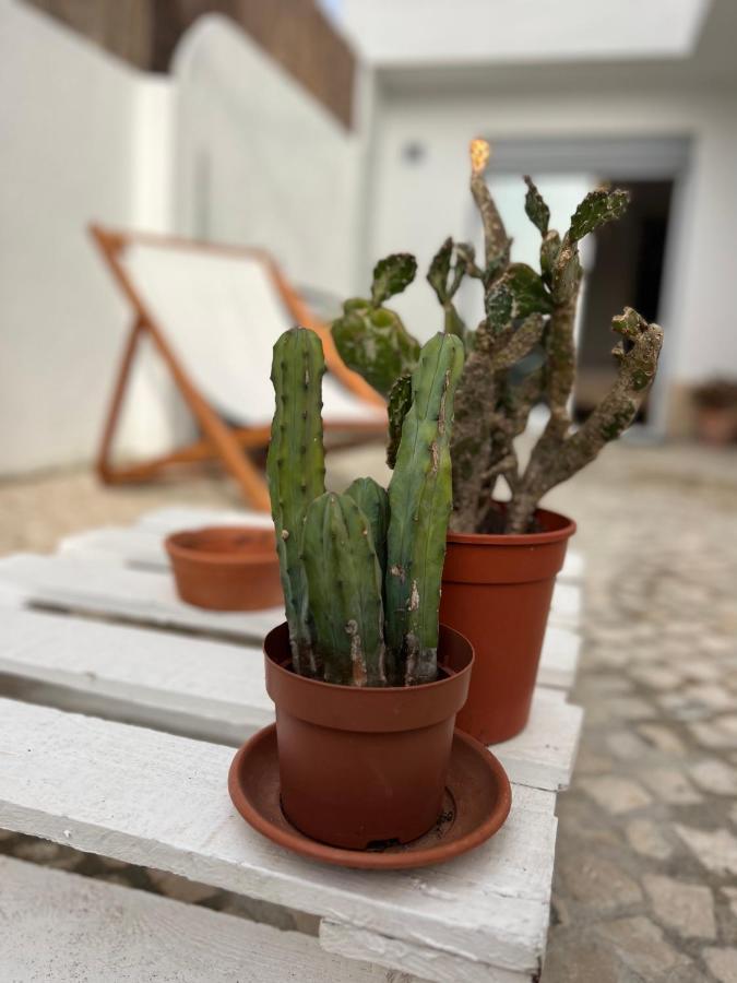 In Daire Cascais Dış mekan fotoğraf